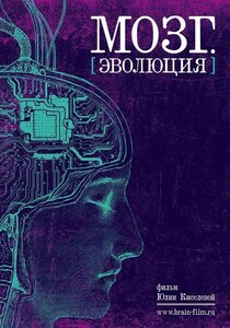 Мозг. Эволюция Мозг. Эволюция
