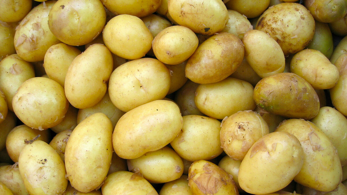 Единственный верный способ готовки молодого картофеля: рекомендован поварами и врачами