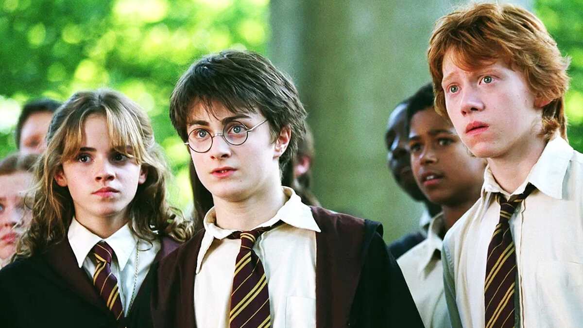 Harry potter Ozon