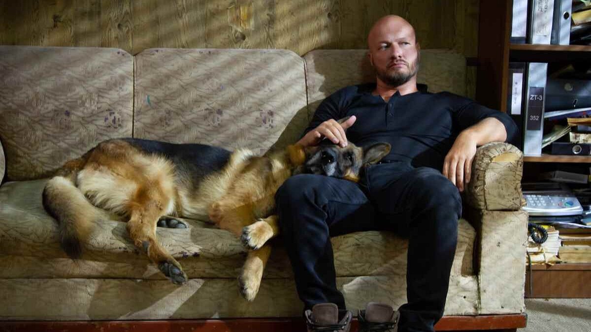 Кадр из сериала «Пес» (2015)