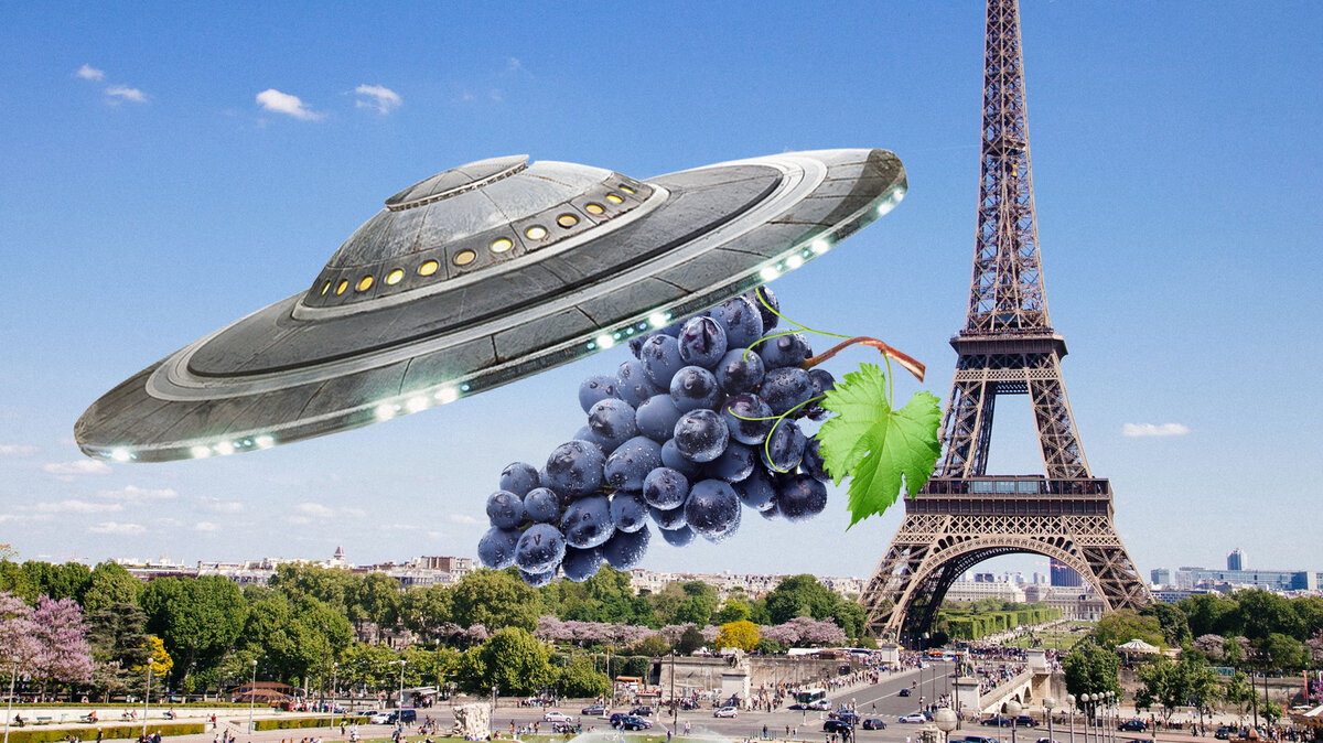 Во Франции есть закон, касающийся НЛО и виноградников: странный, но до сих пор не отменен