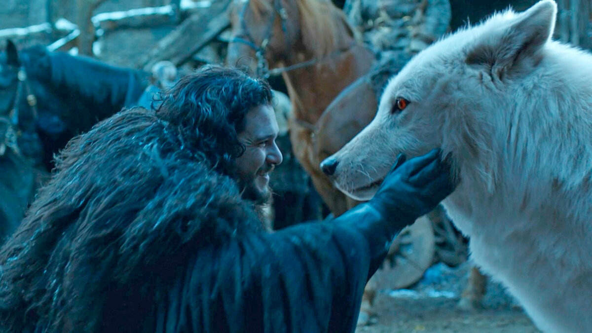 Не просто питомцы: кем на самом деле были лютоволки из «Игры престолов» и откуда они пришли «Игра престолов»
