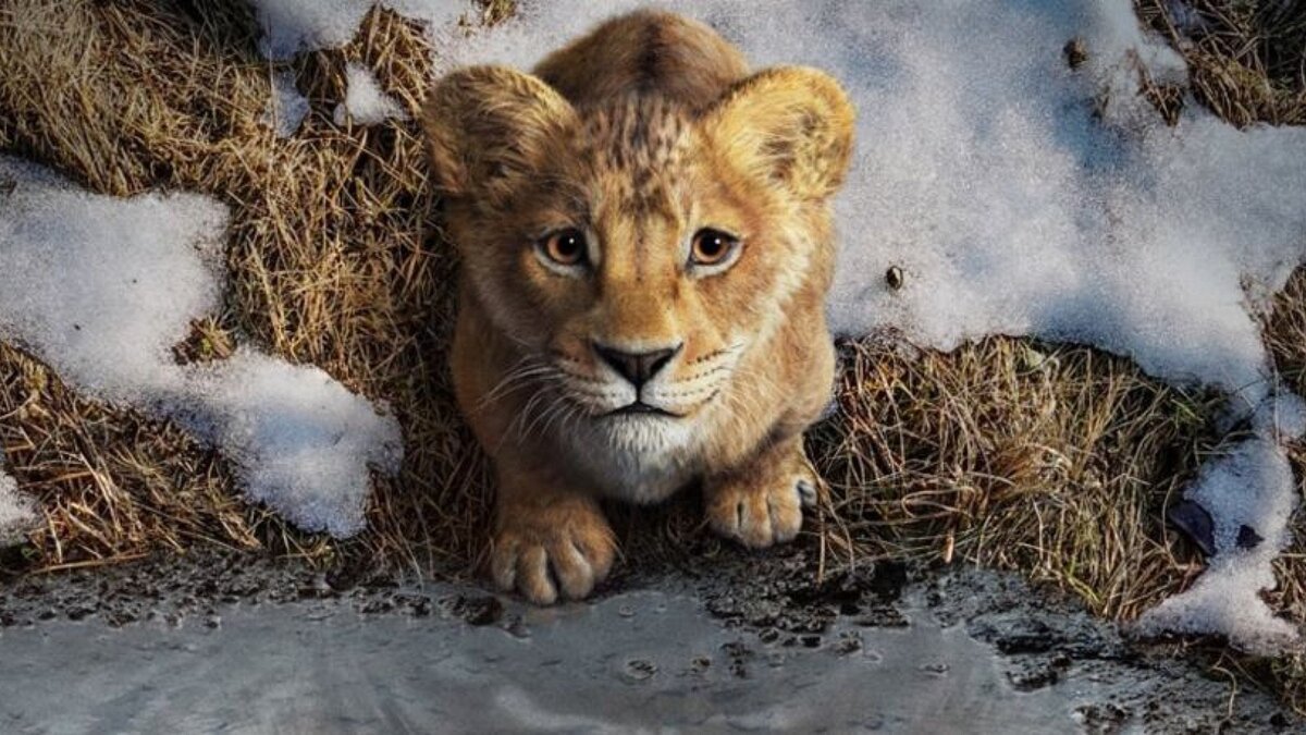 Кадр из фильма «Муфаса: Король лев» (2024)