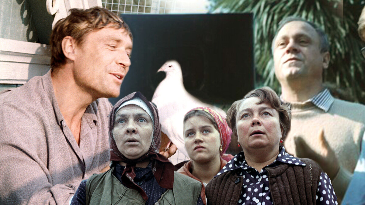 Тайный смысл советского фильма «Любовь и голуби» Меньшова разгадали лишь теперь