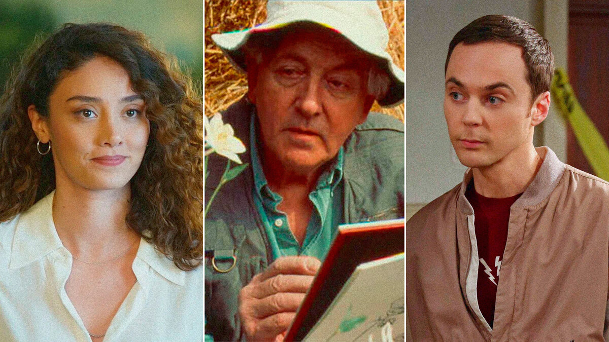 Кадры из сериалов «Дикий», «Чисто английские убийства», «Теория большого взрыва»