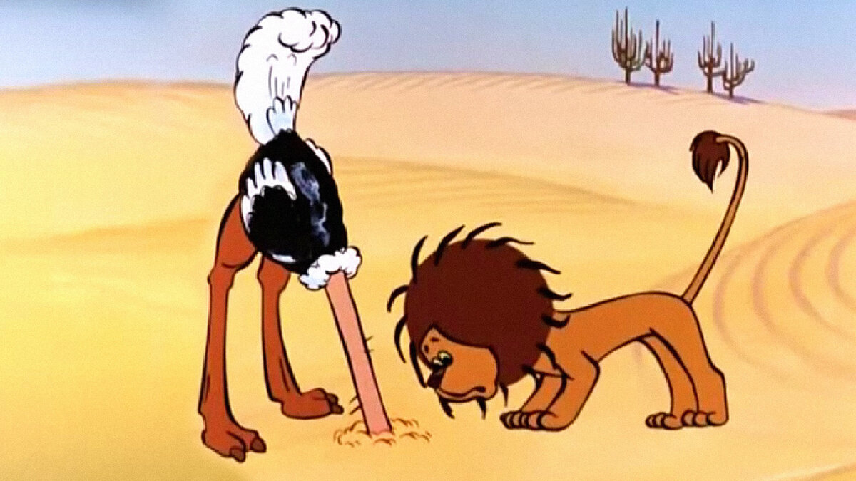 В этот миф про страусов верят даже интеллектуалы: засовывают голову в песок не из-за страха В этот миф про страусов верят даже интеллектуалы: засовывают голову в песок не из-за страха