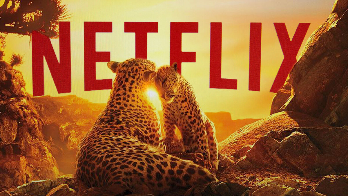 Этот недооцененный сериал Netflix стоит посмотреть прямо сейчас: с боевиками и комедиями ничего общего