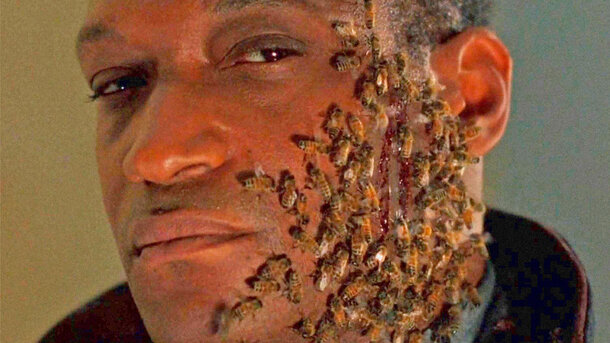 Behind the Scenes of 'Candyman': How Specially Bred Bees Created a Horror Classic