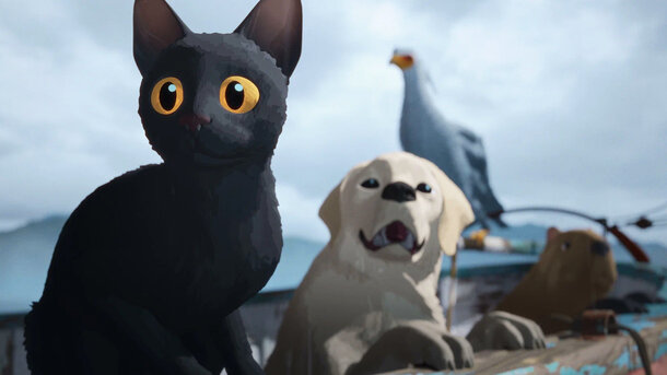 Cat with other animals in a boat