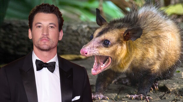 Absurd New Comedy from the 'Sing Sing' Filmmaker Who Went from Oscar Drama to Singing Possums