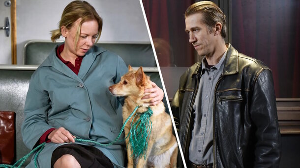 Stills from the movie 'Fallen Leaves' (2023)