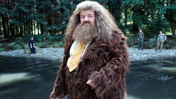 'A Lovely, Lost, Funny, Violent Child': Nick Frost Promises a Deeper Hagrid in HBO’s 'Harry Potter'