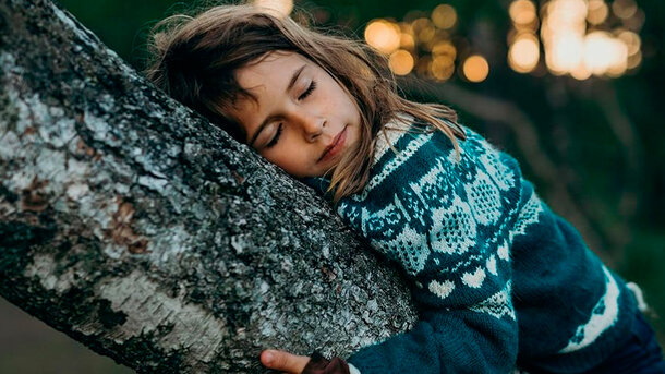 From Norwegian Woods to World Screens: How to Watch the Sundance-Winning Doc 'A New Kind of Wilderness'
