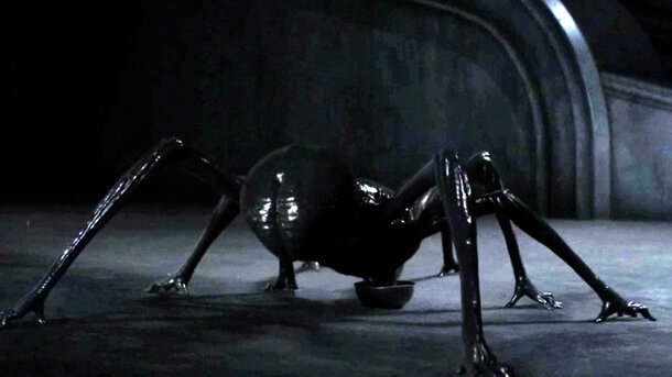A Silent Threat in the Harkonnen Palace: The Terrifying Truth Behind the Sinister Spider Creature in 'Dune' — The Books Never Mentioned This