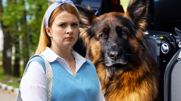 «Только спать под него»: «Маня и Груня» — сериал №1 в России, но кроме очаровательной овчарки смотреть там не на что