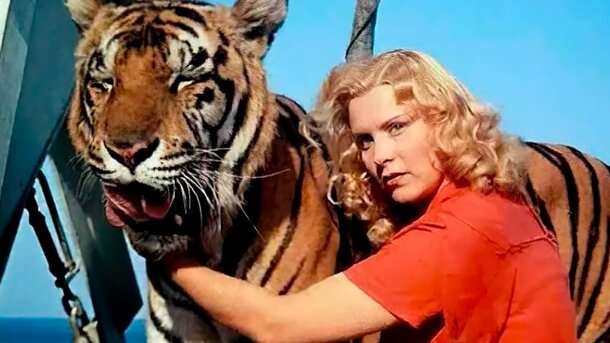 Пересмотрели все кинохиты СССР? Докажите в тесте: вспомните названия 5 лент по случайным кадрам Пересмотрели все кинохиты СССР? Докажите в тесте: вспомните названия 5 лент по случайным кадрам