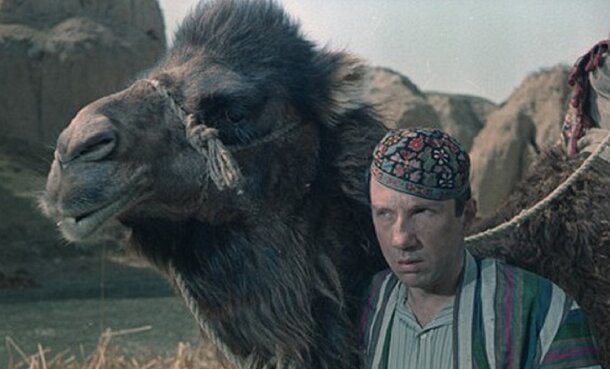 Самый таинственный актер советского хита: как же звали верблюда из «Джентльменов удачи»?