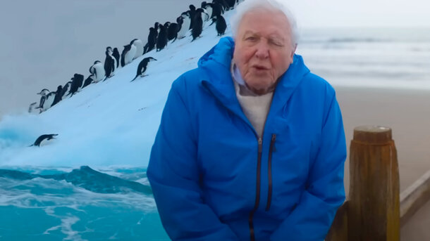 'Ocean with David Attenborough': A Luminous Warning From the Deep — Can We Still Turn the Tide?