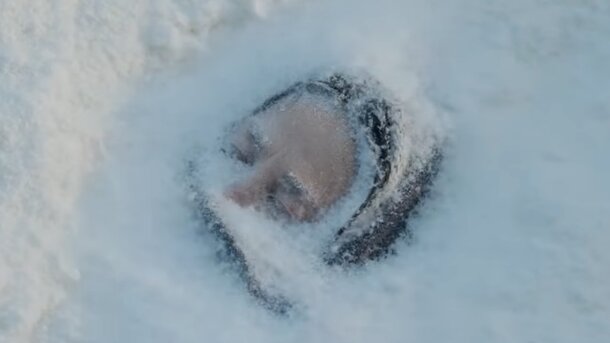 Кадр из сериала «Полная совместимость»