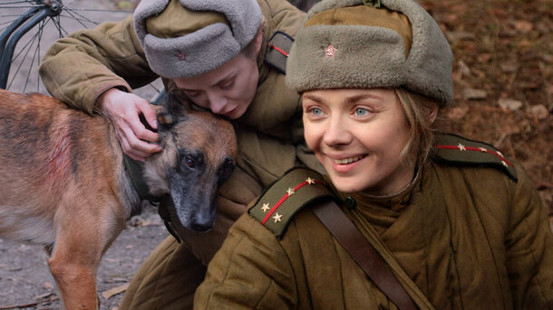 «Только собаки хорошо сыграли»: военный сериал со звездой «Мажора» вызвал критику в Сети