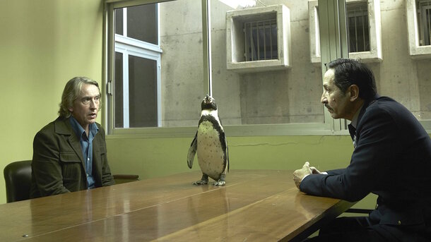 From Rescue to the Big Screen: The Heartwarming True Story of 'The Penguin Lessons'