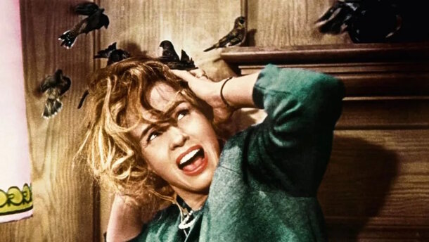 Still from the movie 'The Birds' (1963)