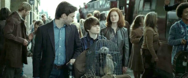 Following in the Footsteps of 'Game of Thrones': 5 Details that were Changed in the Harry Potter Films — and they Stopped Making Sense