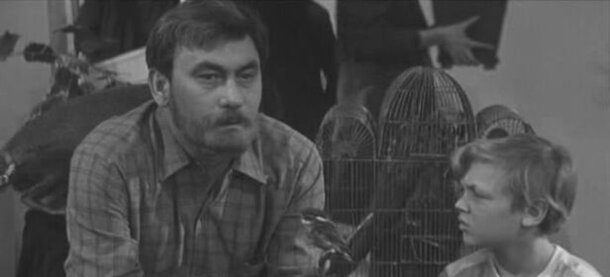 Кадр из фильма «Зимородок»