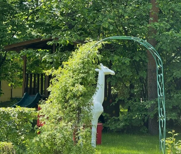 Живет как царица: приусадебный участок Юдашкиной поражает красотой и простором Живет как царица: приусадебный участок Юдашкиной поражает красотой и простором