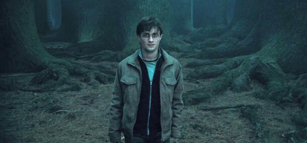 Гарри Поттер — это зомби? Жуткая теория, в которую не хочется верить, но все сходится Кадр из фильма «Гарри Поттер»