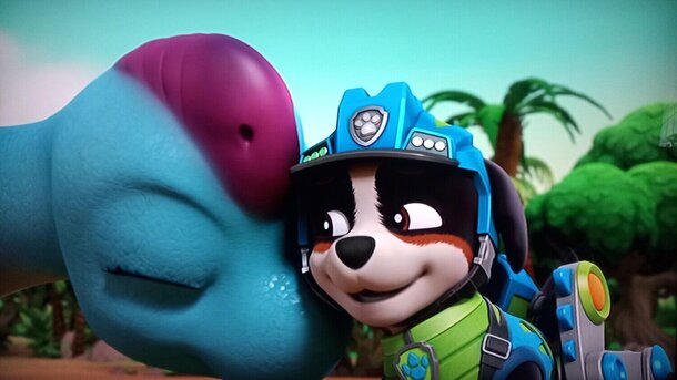 Точное попадание: какие породы скрываются за героями «Щенячьего патруля» — разбираемся вместе, что к чему Точное попадание: какие породы скрываются за героями «Щенячьего патруля» — разбираемся вместе, что к чему