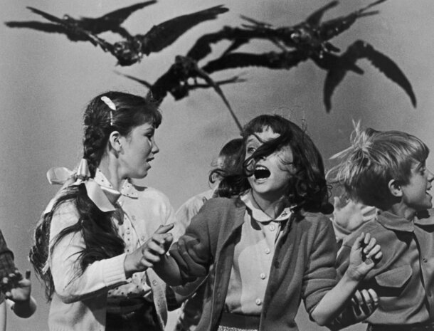 Uncovering the Mystery: The True Events Behind 'The Birds' Film The Birds still