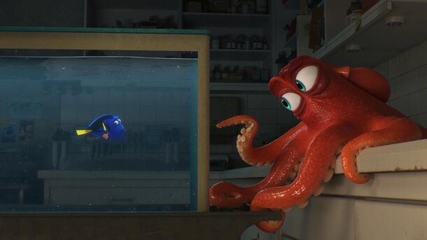 'Childhood will Never be the Same': Hidden Meaning Reveaed in 'Finding Nemo' Still from Finding Nemo