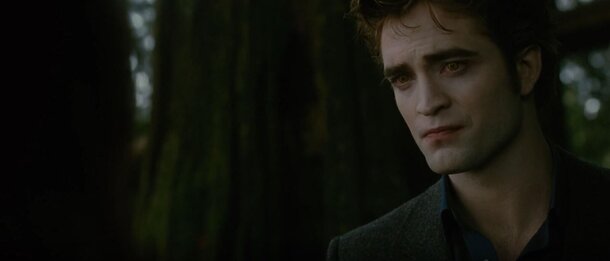 Not Perfect, But Not An Abuser Either? These Two Facts About Edward Cullen Put Many Things Into Place Twilight still