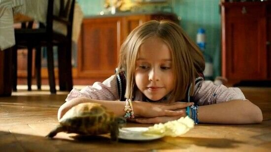 СТС превзошел все ожидания: у российского комедийного сериала «Тетя Марта» рейтинг 8,3, а это лучше, чем у большинства новинок СТС превзошел все ожидания: у российского комедийного сериала «Тетя Марта» рейтинг 8,3, а это лучше, чем у большинства новинок