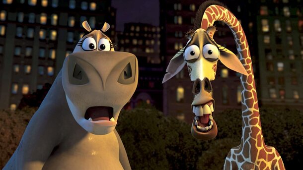 Treated Everything, Even His Spots: What was Really Wrong with Melman from 'Madagascar' still from Madagascar