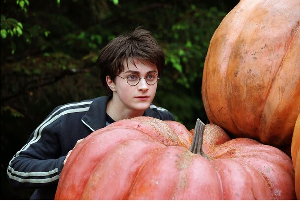 Ron Becomes a Crush, Harry Slammed for His Weight: How Fans around the World Reacted to the New Golden Trio of 'Harry Potter' Still from Harry Potter