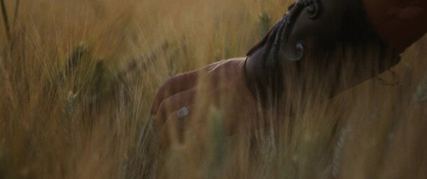 The Iconic 'Gladiator' Scene Holds a Surprise — So Whose Hand Brushes the Wheat? Gladiator