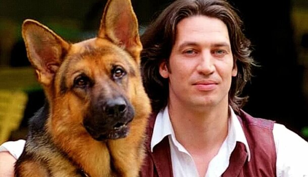 Заканчивают службу счастливо только в «Псе» и «Мухтаре»: как поступают с настоящими служебными собаками