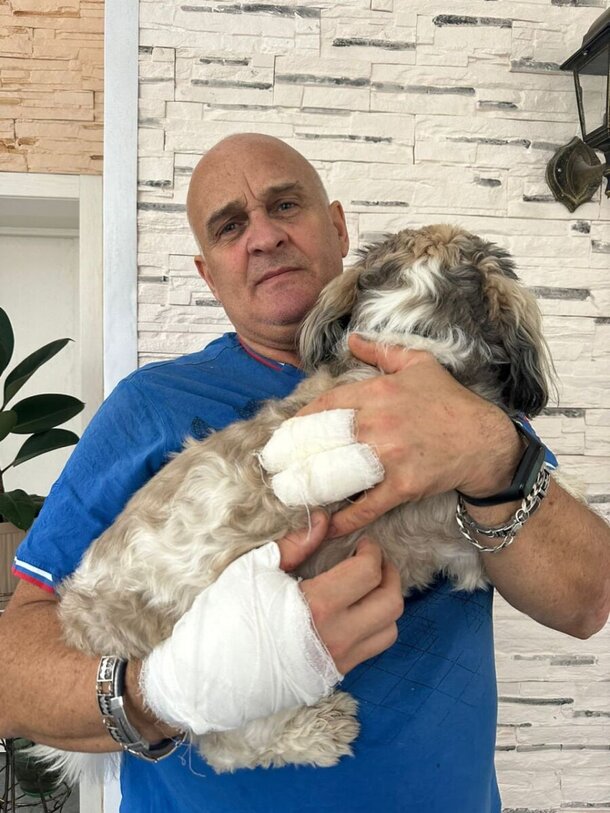 Известный актер спас двух женщин и ребенка от 120-килограммового алабая: подробности и фото Известный актер спас двух женщин и ребенка от 120-килограммового алабая: подробности и фото