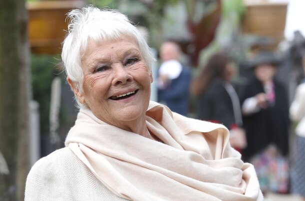 globallookpress.com — Judi Dench