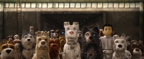 'Isle of Dogs': A Dystopian Tail That’s Surprisingly Human – Would You Follow the Scent of Loyalty or Rebellion? Still from the film 'Isle of Dogs'
