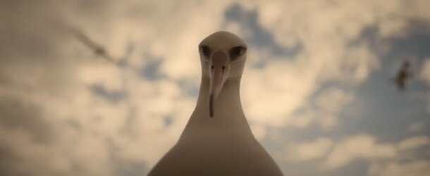 'Ocean with David Attenborough': A Luminous Warning From the Deep — Can We Still Turn the Tide? Still from the film 'Ocean with David Attenborough'