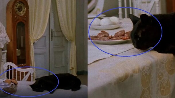 Призрачная колбаса и одежда из будущего: в «Не может быть!» есть настолько милые ляпы, словно Гайдай специально не убрал их на монтаже