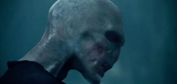 Губки бантиком, бровки... сбриты: как красавец Том Реддл превратился в змееподобного Волан-де-Морта