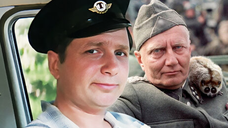 Довел немцев во время Великой отечественной: почему за голову таксиста из «Бриллиантовой руки» назначали награду Довел немцев во время Великой отечественной: почему за голову таксиста из «Бриллиантовой руки» назначали награду