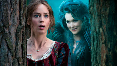 into the woods still