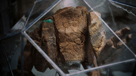 Кадр из фильма «Проект Конец света»