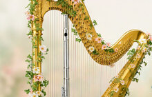 Соединяя миры