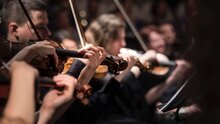 Мировые рок-хиты: IP Orchestra